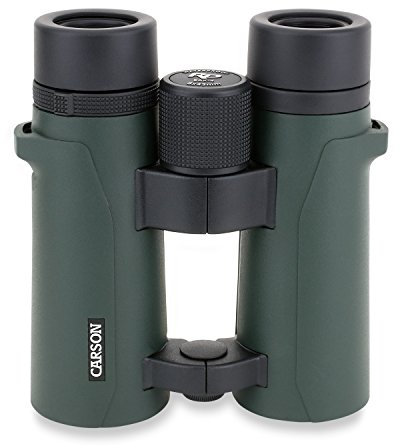 Carson RD Full-Size Fernglas, Doppelstegdesign, 8x42mm, wasserdicht, robust, beschlagfrei (RD-842)