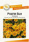 Blumensamen Prairie Sun Sonnenhut - Rudbeckie Portion