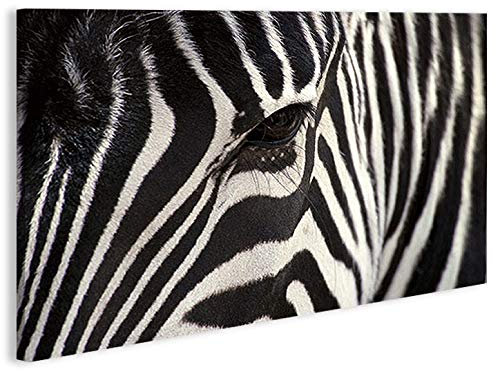 islandburner Bild Bilder auf Leinwand Zebra V2-1p XXL Poster Leinwandbild Wandbild Dekoartikel Wohnzimmer Marke