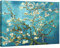 Wieco Art Giclée-Leinwanddruck Leinwandbild des Van Gogh ölgemäldes Mandelblüten, blau, 32x24inch (80x60cm)