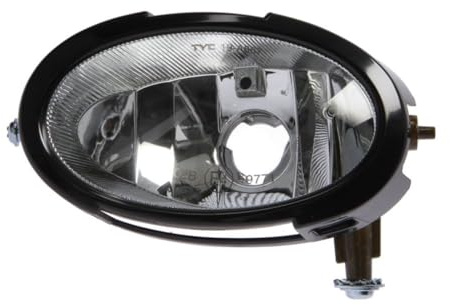 TYC 0868/19/Fog Light 190868012