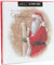 Hallmark Christmas Wish Traditionelle Charity Nostalgie Box Karte (10 Stück)