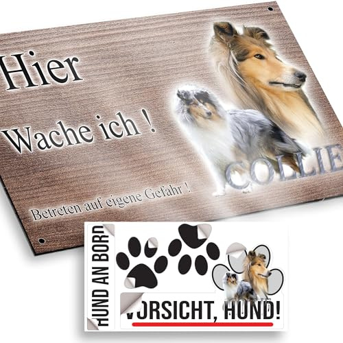Warnschild Hund oder Warnzeichen Collie (Langhaar) 30 cm