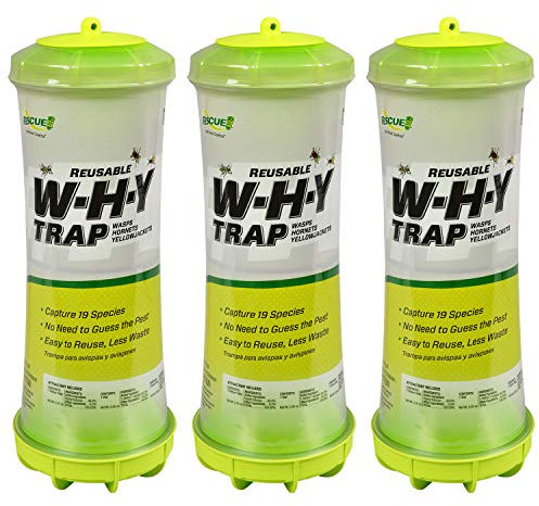 RESCUE! Warum Falle für Wespen, Hornissen & Gelbjacken - Hängende Außenfalle