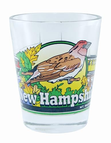 New Hampshire 3 View Shot Glass