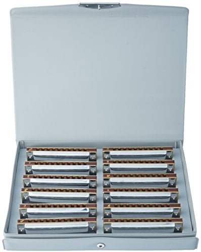 Suzuki 1072S Folkmaster Mundharmonika, silberfarben, 12-teiliges Set