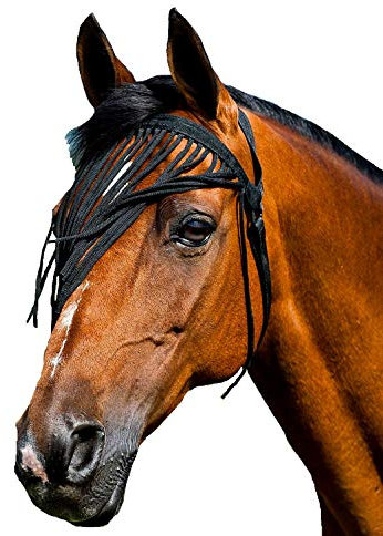 netproshop Fliegenschutz mit Fransen tragbar ohne Halfter aus weichem Polyester Pony-Full, Auswahl:Cob