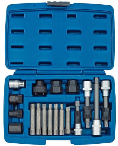 Draper 31921 Expert Alternator Pulley Tool Kit, 18 Pieces