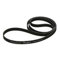 THAKKER PRO-Ject 6.1 Original Cinghia Giradischi Belt