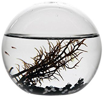 EcoSphere - MSS Kugel Schwarz- 13cm