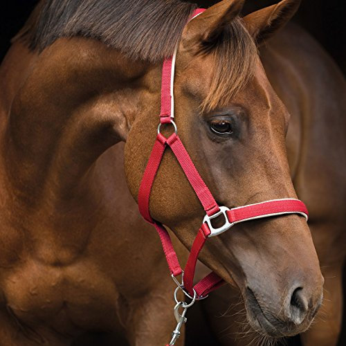 Kerbl Halfter Supreme GR 1, Bordeaux/Natur, 325871