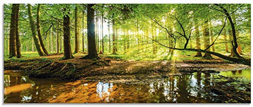 ARTland Wanddeko Glasbilder Wandbild Glas Bild einteilig 125x50 cm Querformat Wald Natur Landschaft Bäume Bach Sonne Frühling T9IO