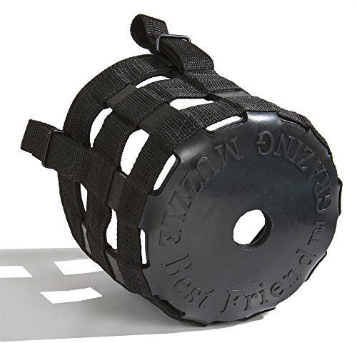 Best Friend Equine Grazing Muzzle