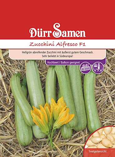 Zucchini Samen Alfresco F1 Zucchinisamen Gemüsesamen 6 Korn Garten Hochbeet Balkon Saatgut Dürr Samen