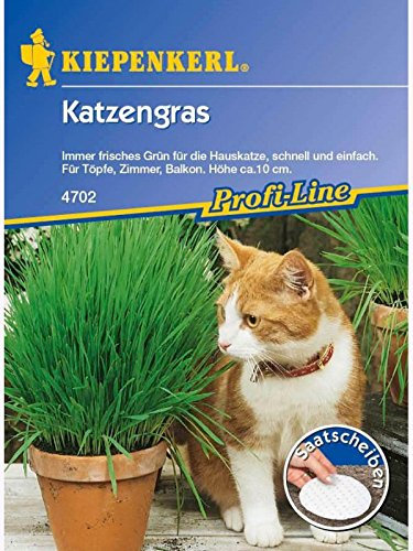 Katzengras Saatscheiben