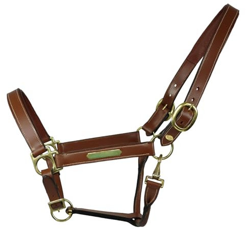 EQuest Lederhalfter Inscribe für Pferde, unterlegt - Cognac, M - Cob/Vollblut