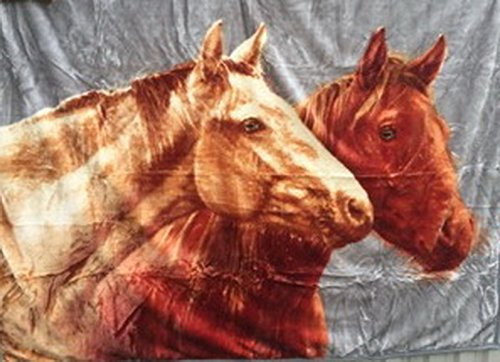 Natur-Fell-Shop Kuscheldecke Tagesdecke Decke Motiv Pferd/Pferde NEU 160x200cm