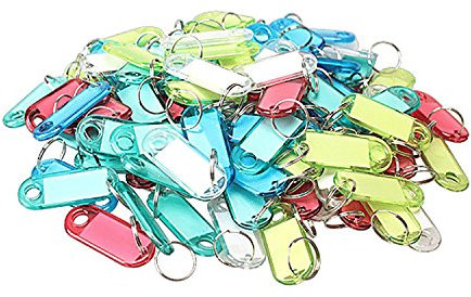 Vktech Lot de 100 porte-étiquettes en plastique transparent avec porte-clés Multicolore