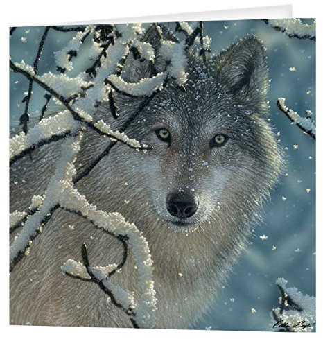 3D LiveLife-Grußkarte - Broken Silence von Deluxebase. Bunte Wolf Linsenförmig 3D-Karte für jeden Anlass und jedes Alter. Originalvorlage lizenziert von dem bekannten Künstler Collin Bogle