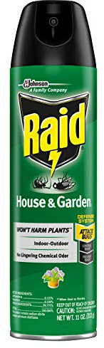 Raid House & Garden Bug Killer Aerosol Kills Bugs on Contact Won’t Harm Plants Indoor and Outdoor Use 11 Ounce (Pack of 1)