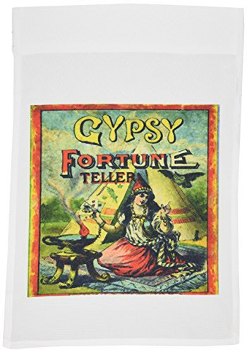 3dRose FL_130398_1 Gartenflagge, 30,5 x 45,7 cm, Vintage-Malerei Ad of Gypsy Fortune Teller.jpg