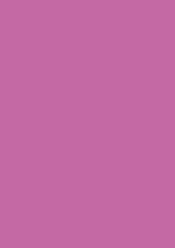Heyda Fotokarton 50x70cm 300g pink EAN