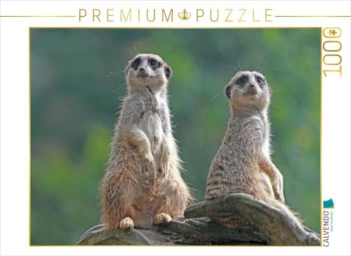CALVENDO Puzzle Wir sehen Alles am Himmel! | 1000 Teile Lege-Größe 64 x 48 cm Foto-Puzzle für glückliche Stunden