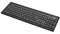 Fujitsu KB410 Tastatur USB QWERTY Japanisch, US International Schwarz