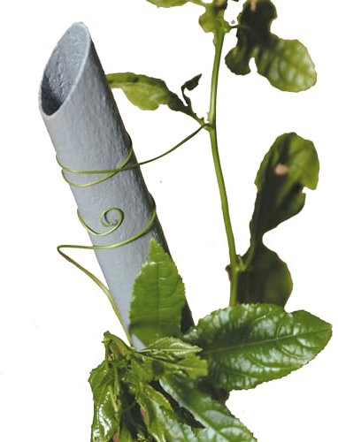 Tenax Stand Up, Tuteur pour Légumes, Hauteur 150 cm, Diamètre 2,3 cm Gris, Tuteur en Plastique Recyclé pour Le Potager