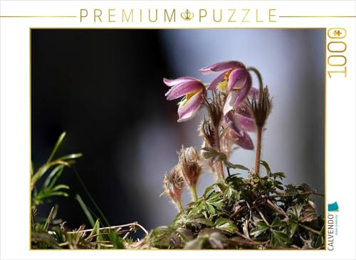 CALVENDO Puzzle Rare Schönheit | 1000 Teile Lege-Größe 64 x 48 cm Foto-Puzzle für glückliche Stunden