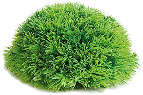 Flamingo Aquarium HALBE MOOSBALL 17CM