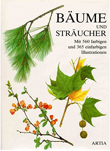 Bäume und Sträucher