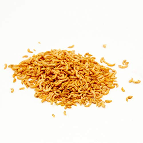 Gammarus - Bachflohkrebse, Koifutter, Reptilienfutter von Warnick´s Tierfutterservice (10.000ml)