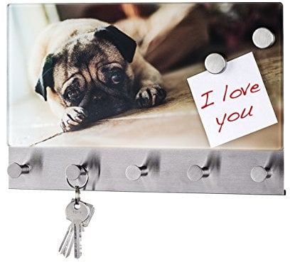 Wenko 50410100 Hakenleiste Pug - 5 Haken, magnetisch, Gehärtetes Glas, 19 x 30 cm, mehrfarbig