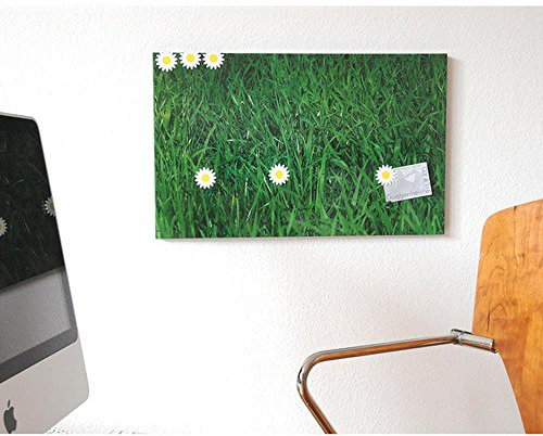 HAB & GUT -RB003- Magnettafel Wiese, mit 6 Blumen-Magneten, 33 x 53 cm Design Motiv
