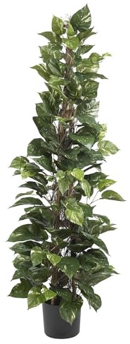 Nearly Natural 63in. Pothos Climbing Silk Plant