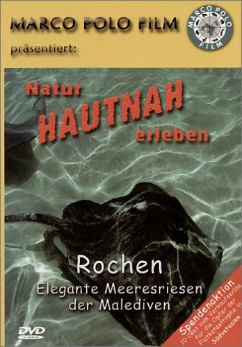 Rochen - Elegante Meeresriesen der Malediven