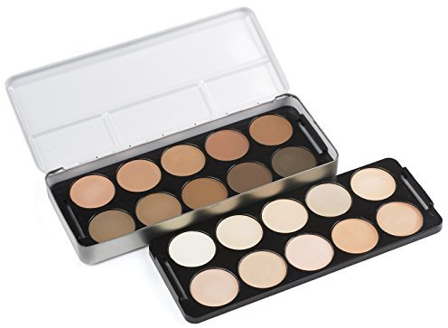 Stargazer Products Wet Cover Foundation Palette, 1er Pack (1 x 36 g)