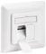 goobay sonstige CAT6 Anschlussdose Unterputz - Polarweiss