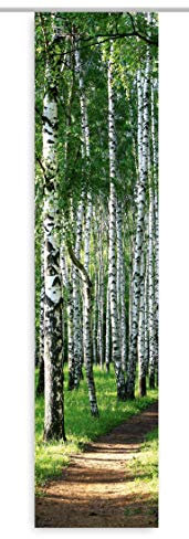 gardinen-for-life Flächenvorhang Birkenwald, Frühlings - Schiebevorhang, Gr.60x245 cm