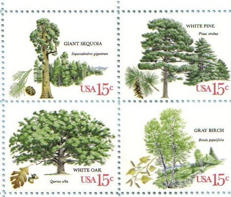 Semelle de fer cs-00138039 pour Fer a repasser