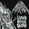 Larvae Offal Swarm [Vinyl LP]