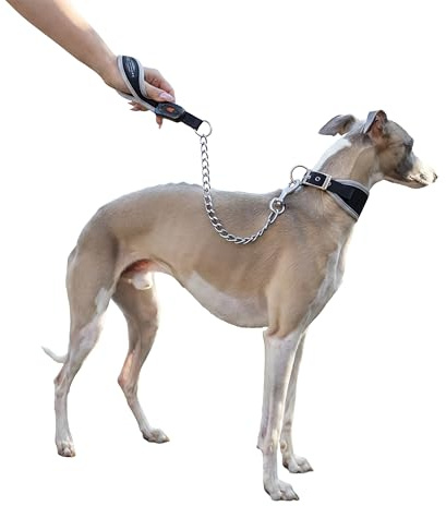 Ferplast Anti-bite Metal Dog Leash ERGOCOMFORT METAL, Ergonomic Handle, Soft padding, Length 65 cm.