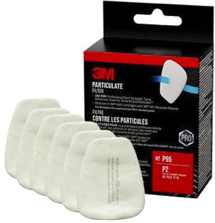 3 m 6000 Series Particulate Filter P95, 5P71PB1-6