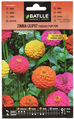 Semillas Batlle Zinnia LILIPUT variada (Pom Pom)