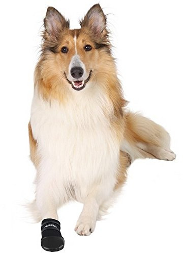 Trixie Walker Care Paw Protector