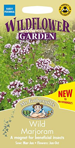 Mr Fothergills - Pictorial Packet - Wildflower - Wild Marjoram - 1000 Seeds