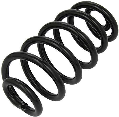 Triscan 875029093 Fahrwerksfeder