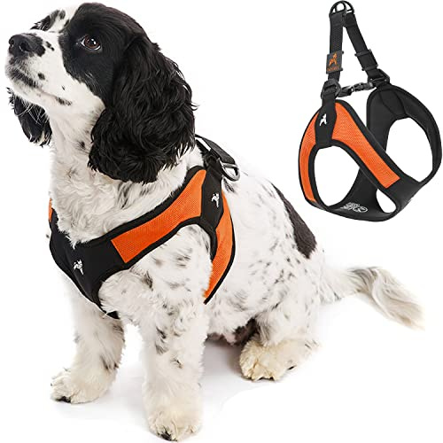 Gooby Easy Fit Step-In Harness Light and Comfortable, Small, Orange