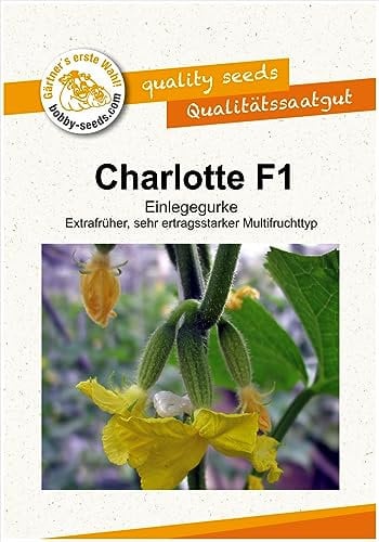 Gurkensamen Charlotte F1 Portion